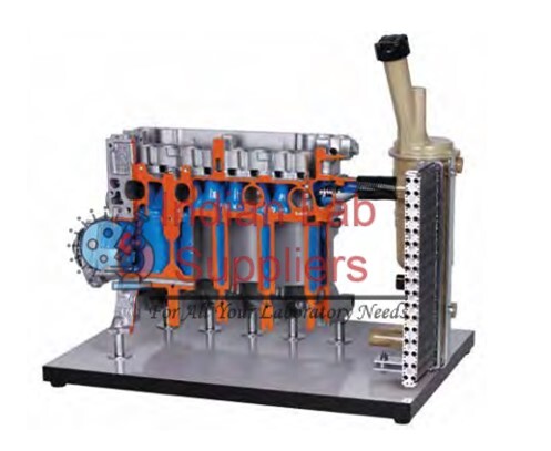 Engine Cooling System (On Base) Cutaway Model